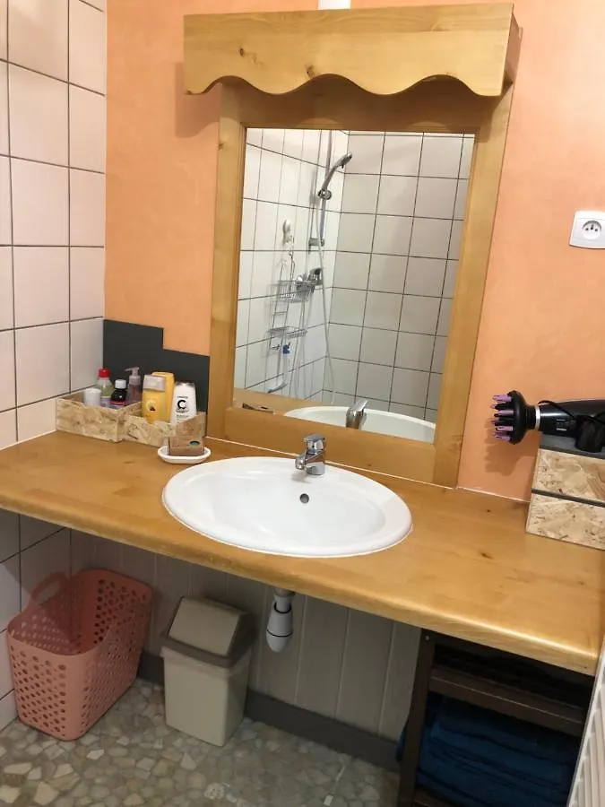 Super Besse Appartement Le Gite Bessard 6 Couchages Le Bois De La Reine Besse-et-Saint-Anastaise
