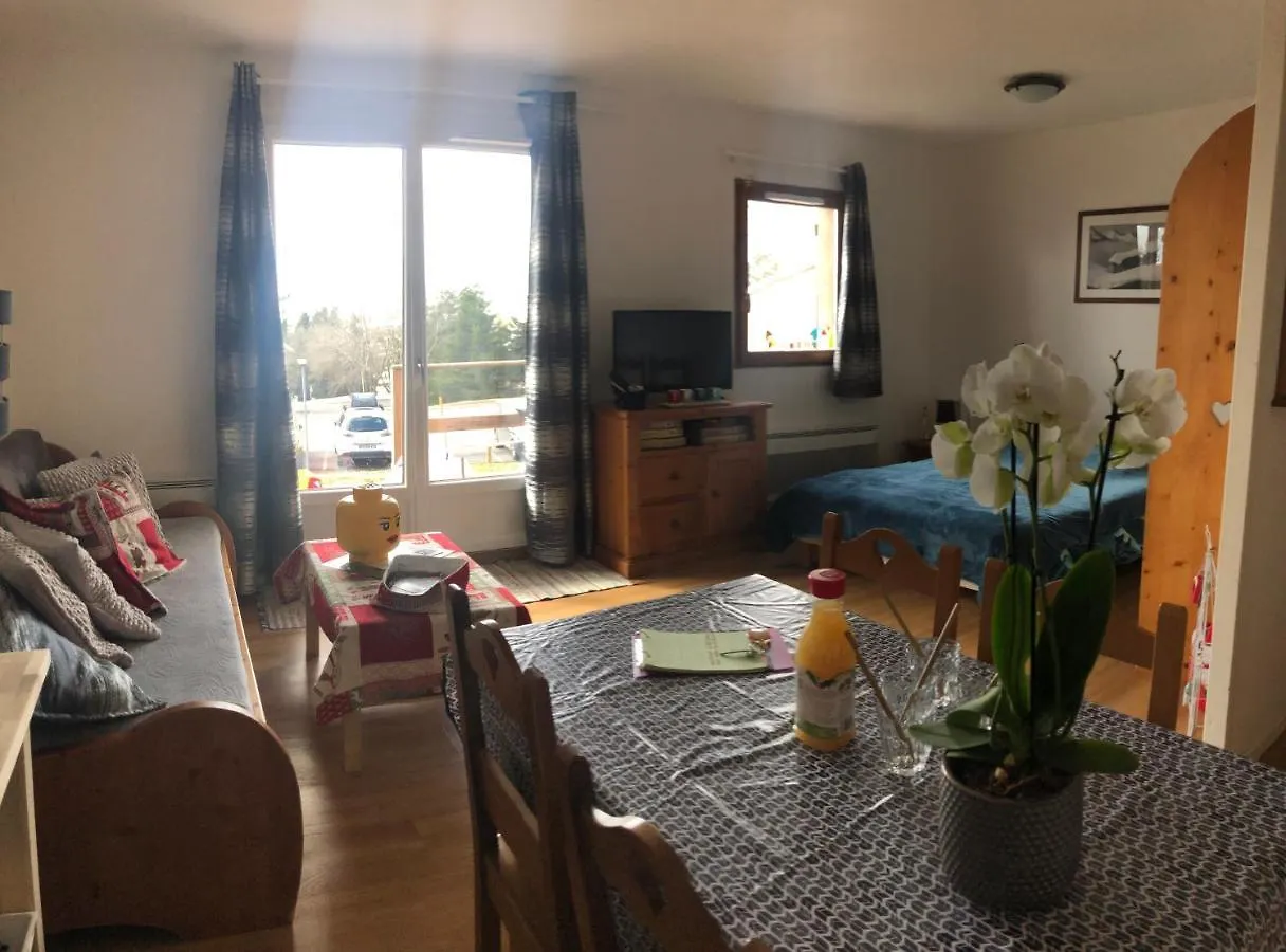 Super Besse Appartement Le Gite Bessard 6 Couchages Le Bois De La Reine